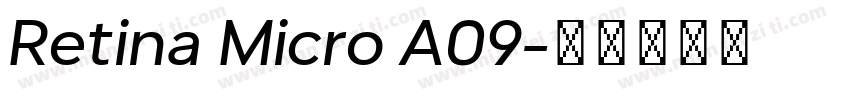 Retina Micro A09字体转换